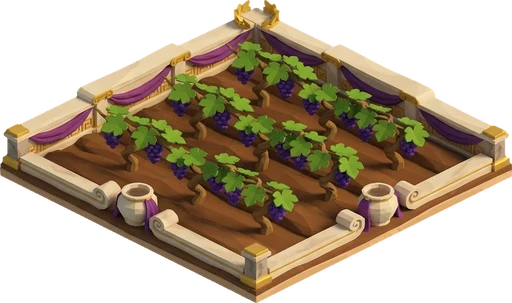 Grapes ready to harvest. Isometric grapes crop artwork at the harvest-ready stage.