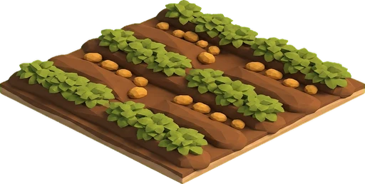 Potato ready to harvest. Isometric potato crop artwork at the harvest-ready stage.